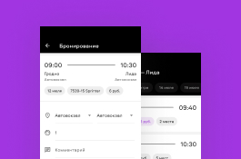 Passenger transportation automation system
